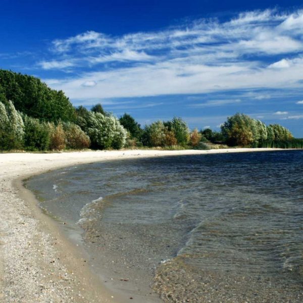 Senftenberger See