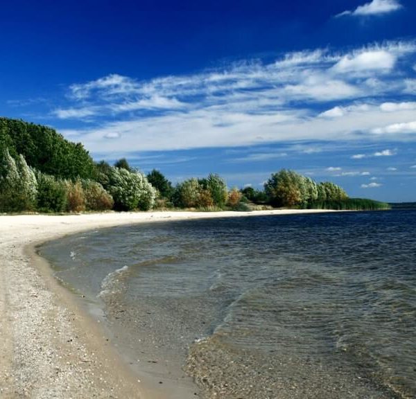 Senftenberger See
